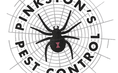 Effective Pest Control in Lubbock: Partnering with Pinkston Pest Control for a Pest-Free Home