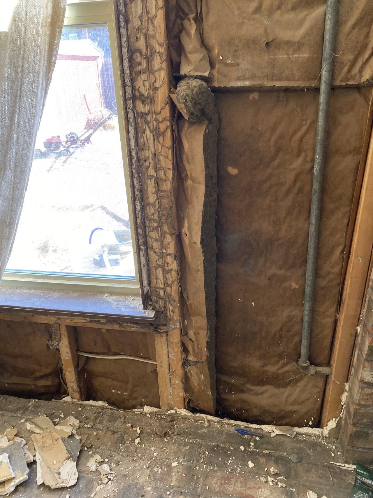 Lubbock Termite and Pest Control Pinkstons Pest Control