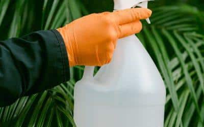 Winterize Your Home: Your Fall Pest Control Checklist