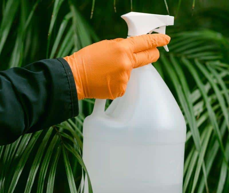 Fall Pest Control