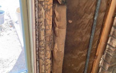 Stop Playing Defense: Why Quarterly Pest Control Is a Game-Changer for Your Home