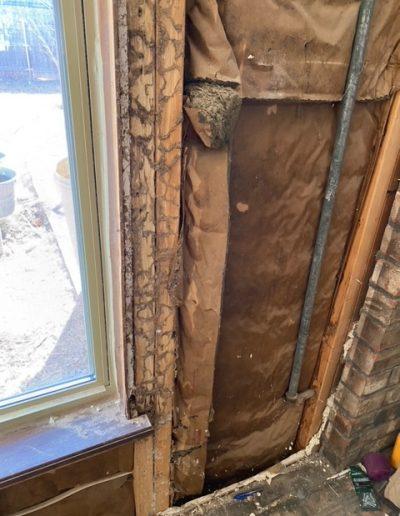 termite treatment lubbock