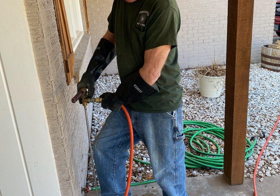 Expert Pest Control in Lubbock, Texas: Pinkston Pest Control’s Trusted Solutions